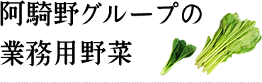 阿騎野グループの業務用野菜